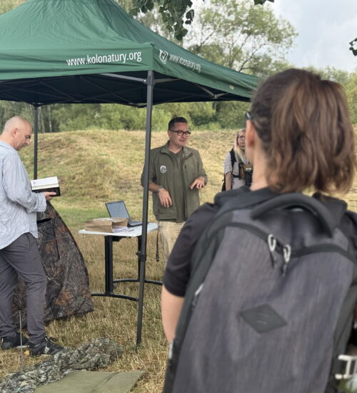 II edycja warsztatów
